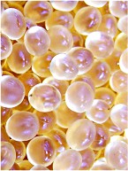 hysol5089|Loctite5089膠水